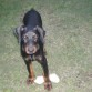 jugando mucho con mi regalitoo