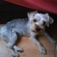 En casa =)
