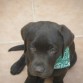 con tres meses