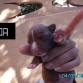noa recien nacida