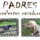 VENDO cachorros de SETTER INGLÉS puros
Camada de 7 cachorros (marrón claro, oscuro y negro) 
Machos: 120€ y Hembras: 140€.
(posibilidad de rebaja, por portes)
NACIDOS EL 21 DE JULIO DE 2009
Padres excelentes cazadores en pelo y pluma.
Desparasitados, con la primera vacuna, y destetados.
Iniciados desde el mes a ejercícios con pieles de pelo y pluma.
Interesados llamar al tlf. 675.894.142
