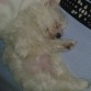 ella durmiendo :$