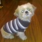 Con su jersey