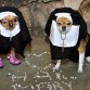 EMPEZAMOS EL CONCURSO DE CARNAVAL DOS CON LAS Perras-Monjas