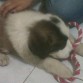Valentina jugando.