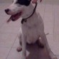 traviesa 7 meses