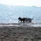 En la playita con Bender