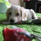 mi bebe  para el dia de las madres