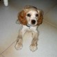 mi berbe a los 5 meses que tierna 