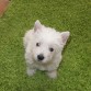 Puncito a los 2 meses :)