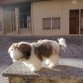 mirar que guapeton que estoy