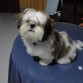 me tiene muy limpito siempre, verdad?