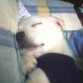 bueno ahi durmiendo.. q tierno!