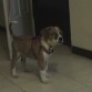 Ya llevame de paseo!!