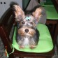 yo sonrio para las fotos!! Me gustan mucho!