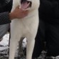 en la nieve con su amiguito...
