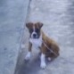4 meses