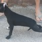 Xhena posando con 4 meses
