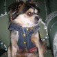 MI PELUCHE CON PILAS!!!!!!!