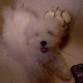 Peluche <3 <3 