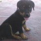 su segundo dia en casa con 2 meses de edad