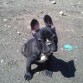 En el campo