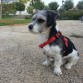 Jack en Cáceres