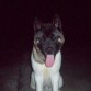 aragon en su paseo nocturno