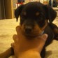 A LOS 2 MESES