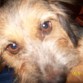q.......mirada tierna