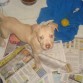 danger 2 meses
