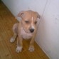 3 meses