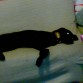mi Lola durmiendo en el sofá