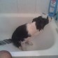 Bañandose