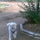 En el parque corriendo