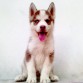 unos meses apenas =)