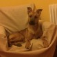 Un jovenzuelo tan salao! (6 meses)