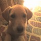 tan solo con 3 mese :D 