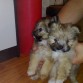 Mi niña y su hermanito