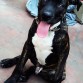Mi bebe cuando tenia 4 mesesitos.