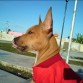 aqui a ls 4 meses