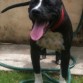 7 meses