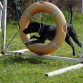 en agility!