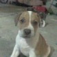 hijo de moly
