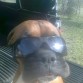 la famosa  taly