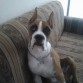 EN SU SILLON