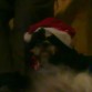 Felicitando la navidad a mi abu
