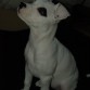 2,5 meses