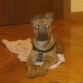 Posando antes del paseo (4 meses)