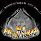 pit bull